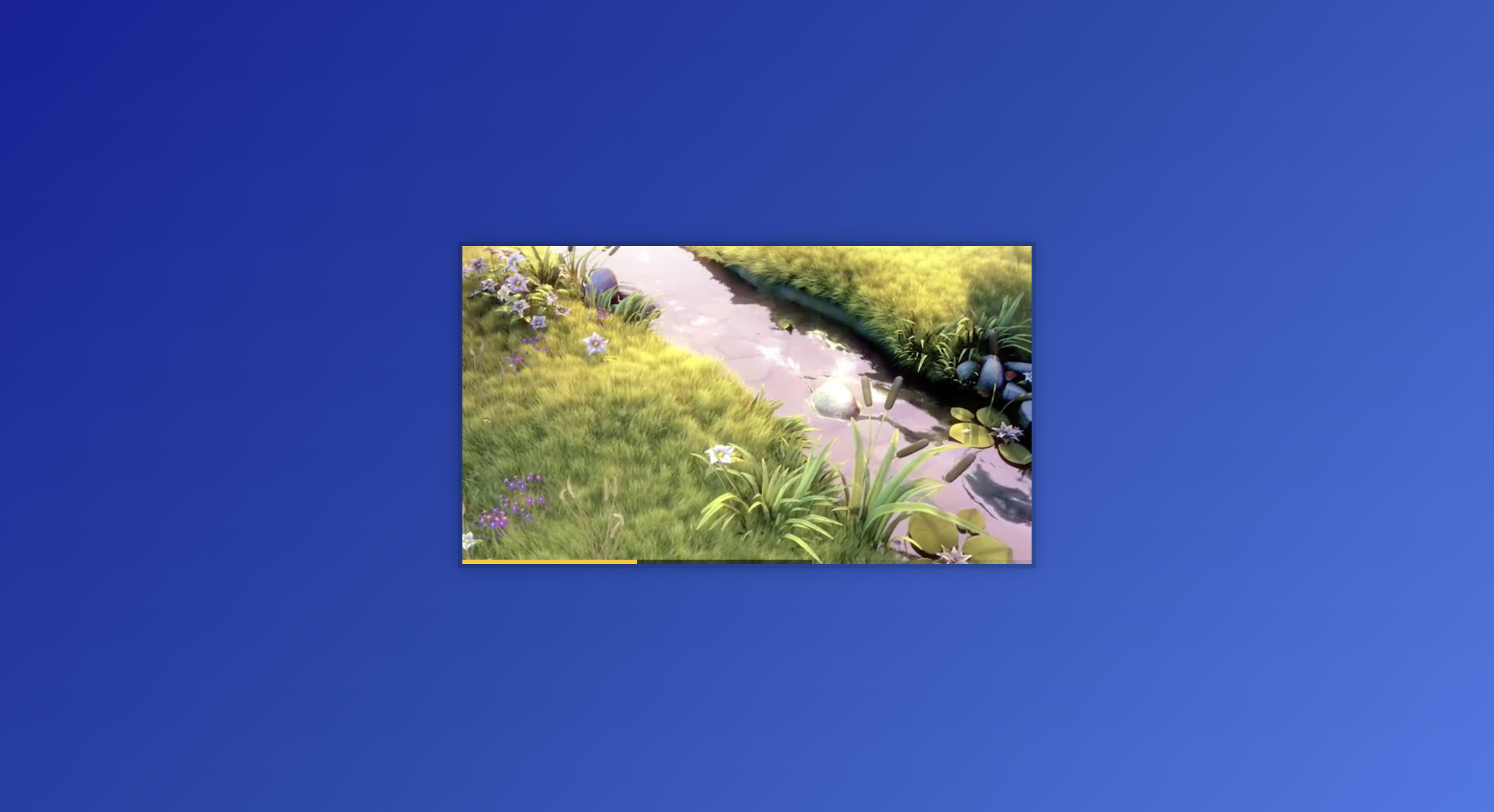 Custom Video Player